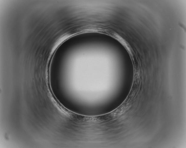 X0000097640811200802291403
