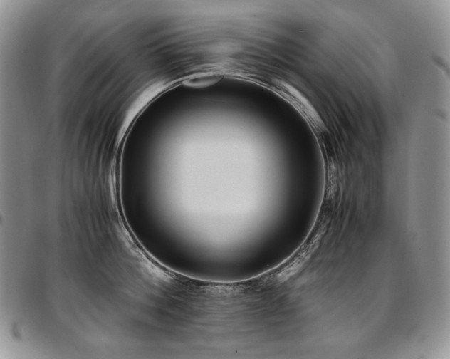 X0000097640812200802291403