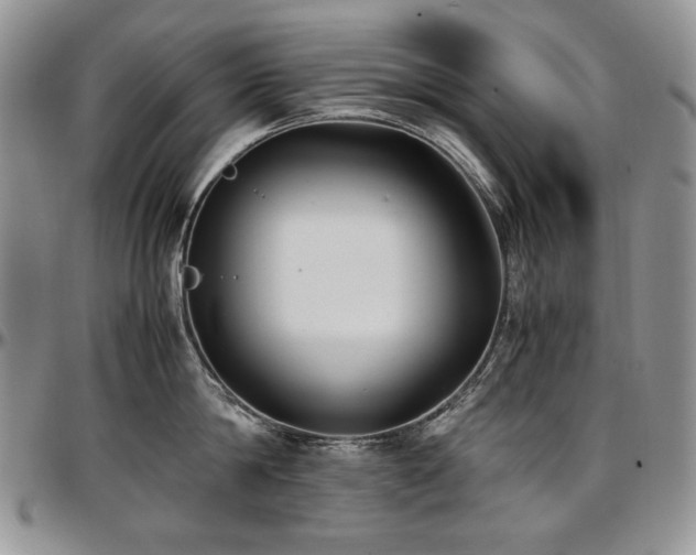 X0000097640814200802291403