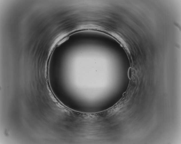 X0000097640815200802291403