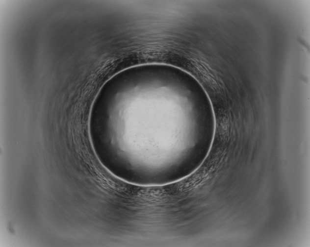 X0000097640817200802291402