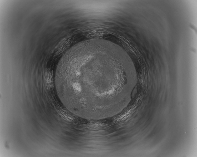 X0000097640818200802291402