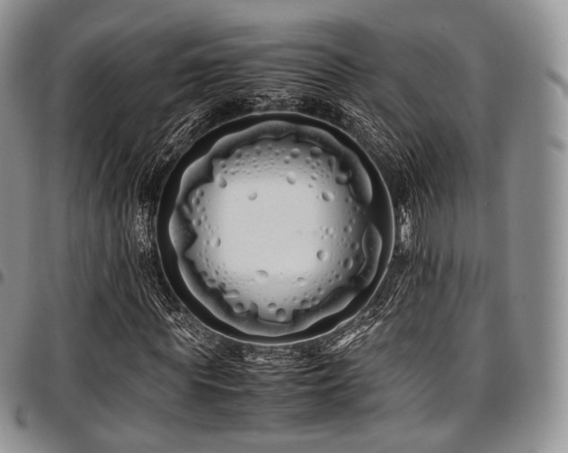 X0000097640819200802291402