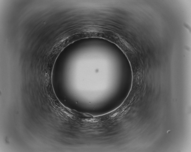 X0000097640821200802291402