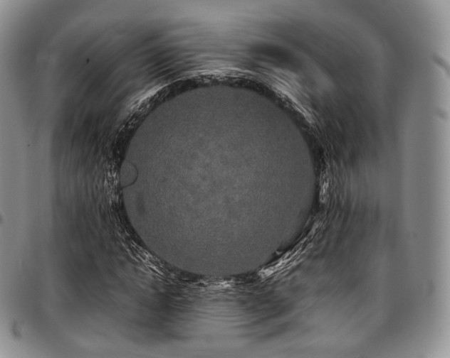 X0000097640822200802291402