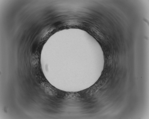 X0000097640824200802291402
