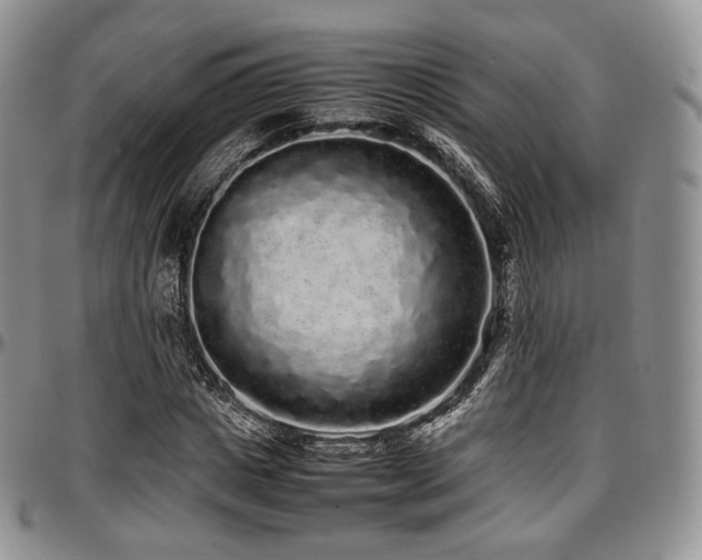 X0000097640825200802291402