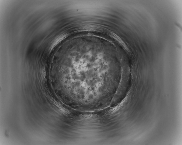X0000097640826200802291402