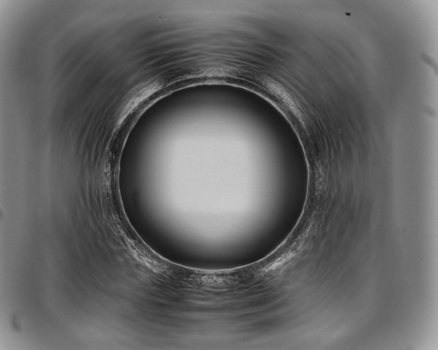 X0000097640827200802291402