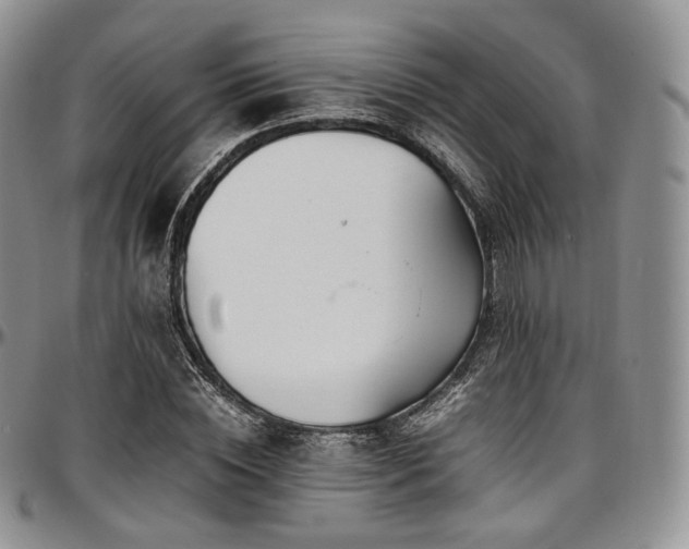 X0000097640828200802291402
