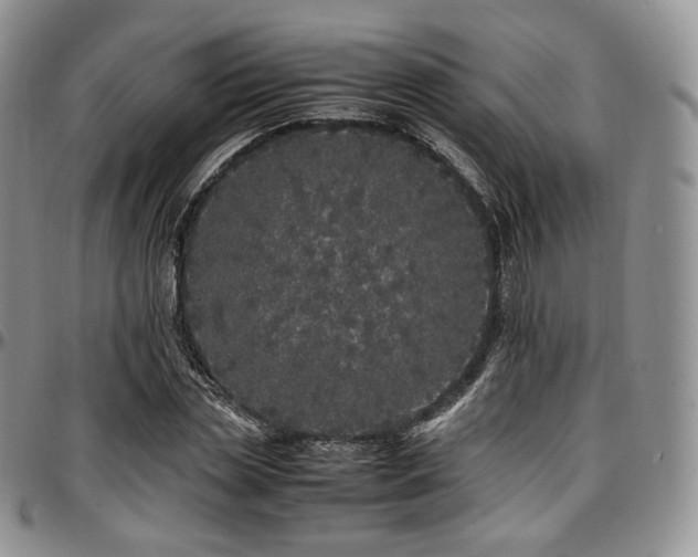 X0000097640829200802291402