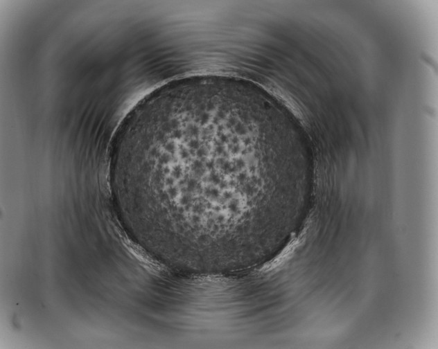 X0000097640830200802291402