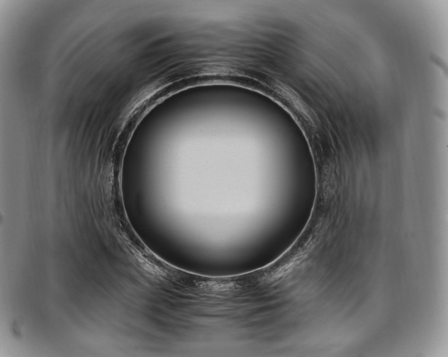 X0000097640831200802291402