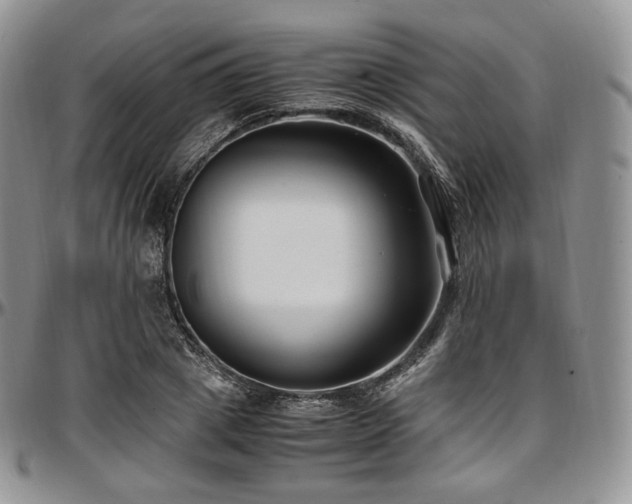X0000097640833200802291402
