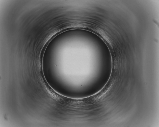 X0000097640837200802291402