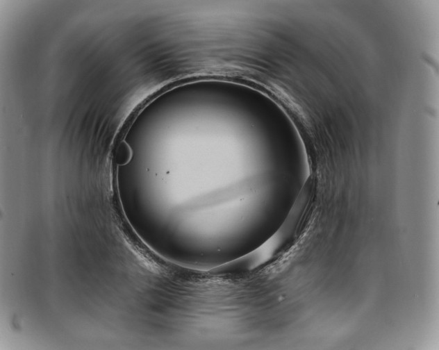 X0000097640838200802291402