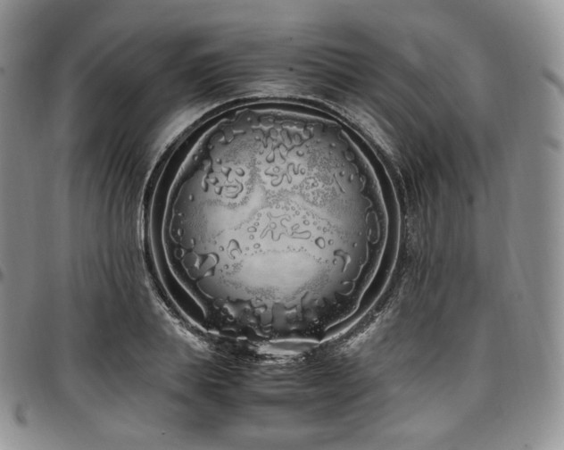 X0000097640839200802291402