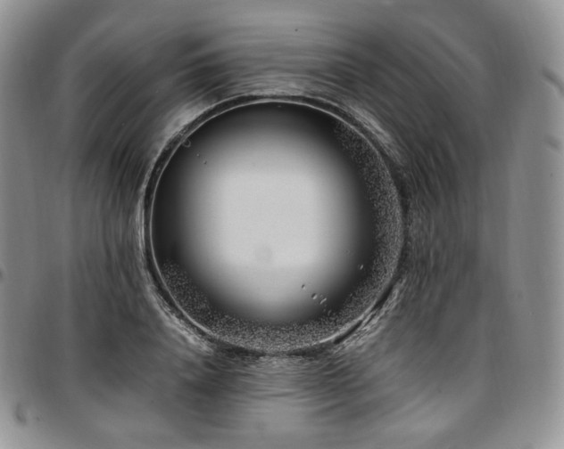 X0000097640840200802291402