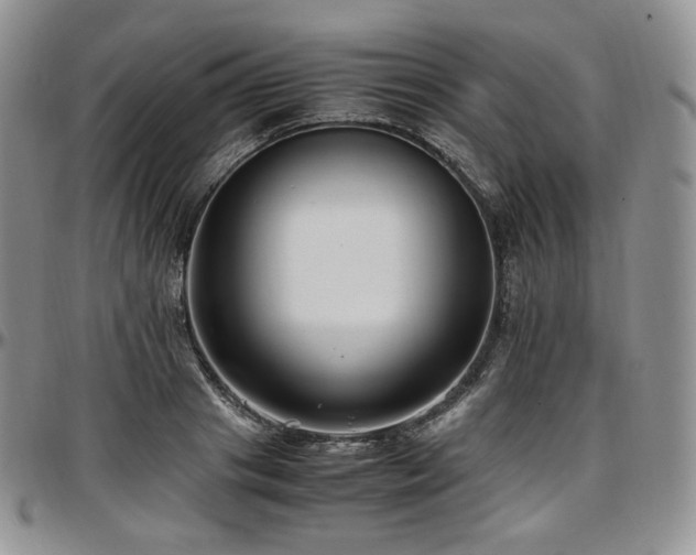 X0000097640841200802291402