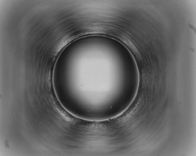 X0000097640842200802291402