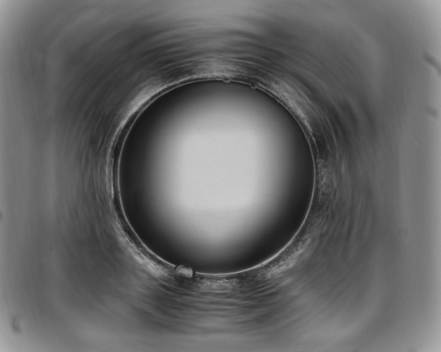 X0000097640843200802291402