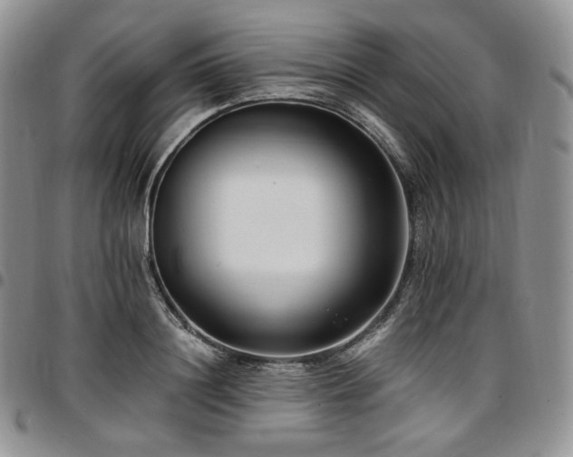 X0000097640844200802291403