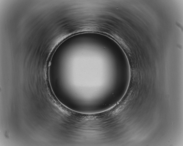 X0000097640846200802291403