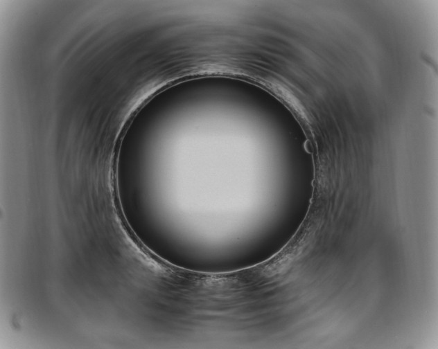 X0000097640847200802291403