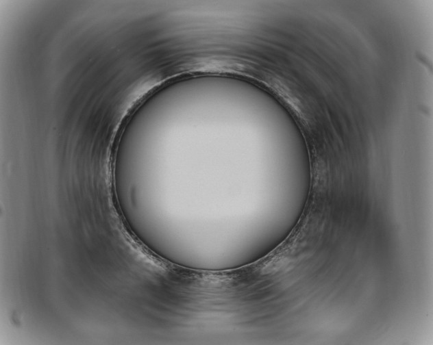 X0000097640848200802291403