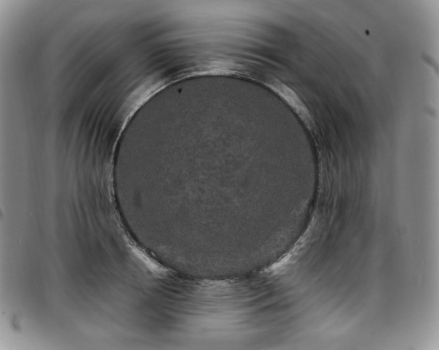 X0000097640850200802291403