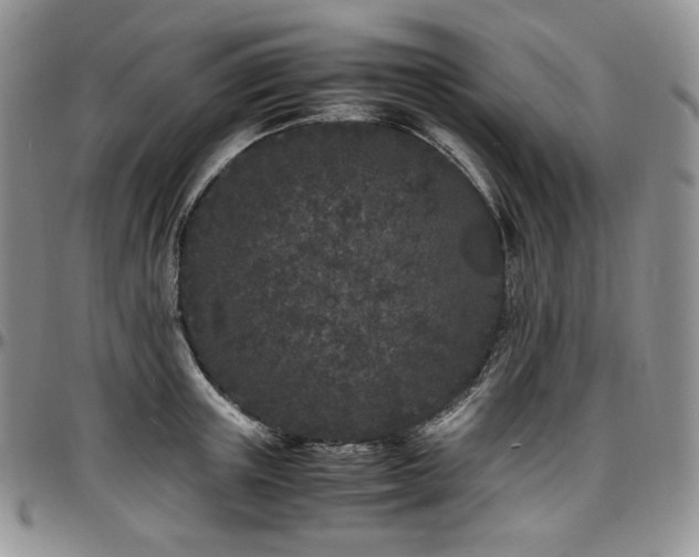 X0000097640851200802291403