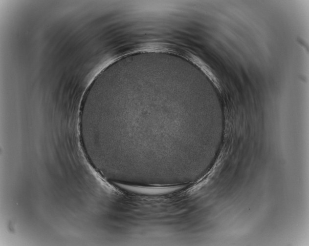 X0000097640853200802291403