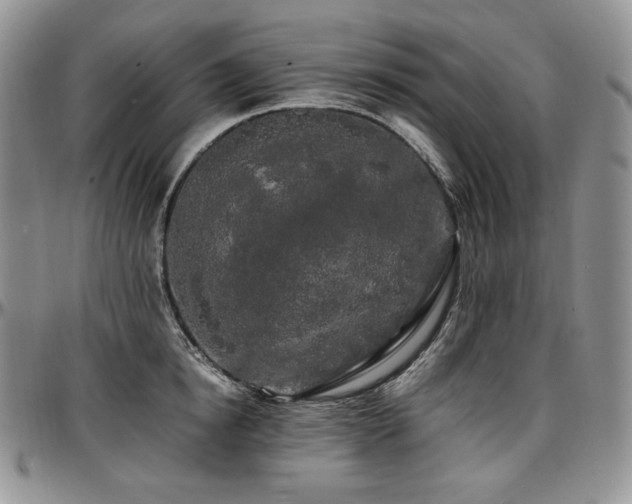 X0000097640854200802291403