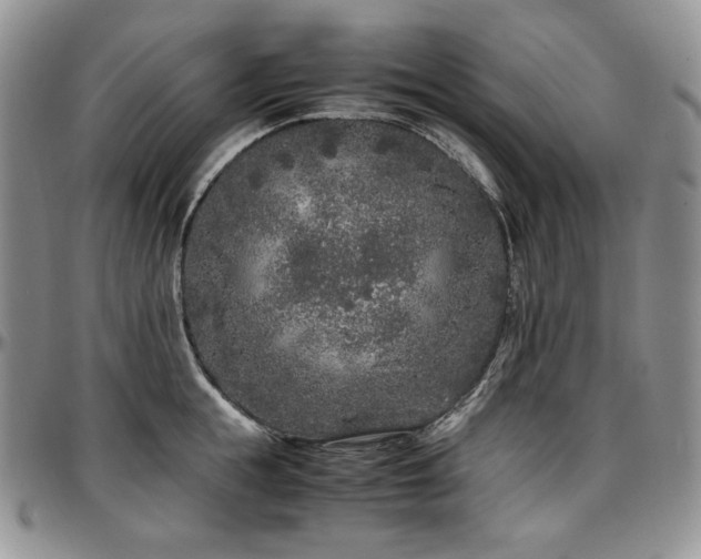 X0000097640855200802291403