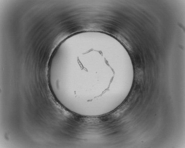 X0000097640856200802291403