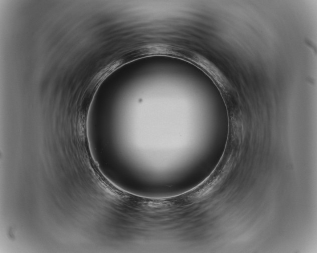 X0000097640857200802291403