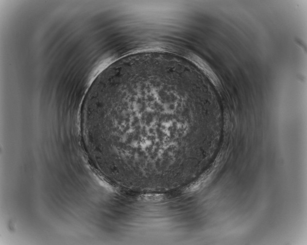 X0000097640858200802291403