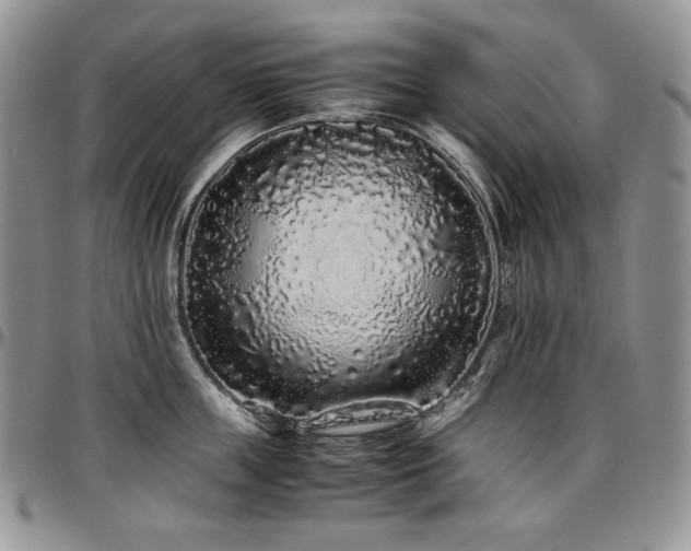 X0000097640859200802291403