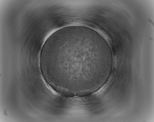 X0000097640862200802291403