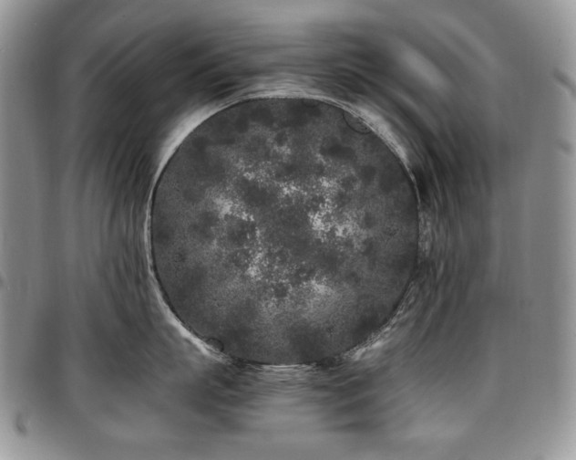X0000097640863200802291403