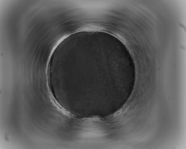 X0000097640864200802291403