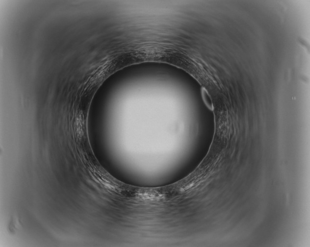 X0000097640866200802291402
