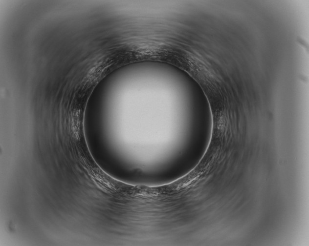 X0000097640868200802291402