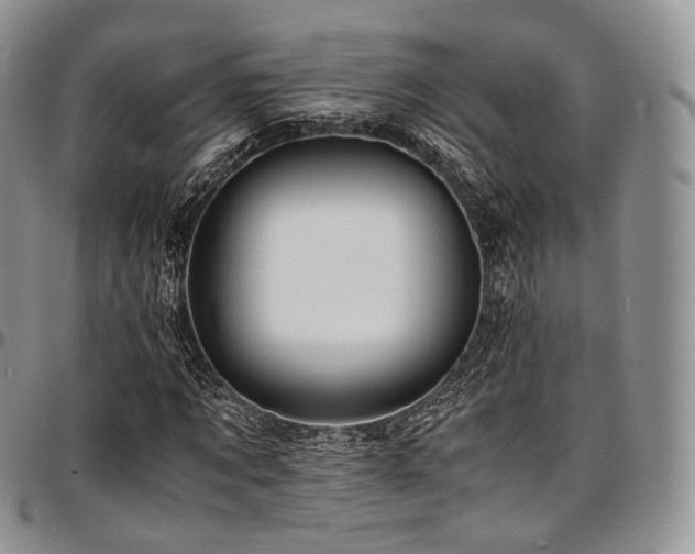 X0000097640869200802291402