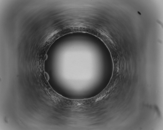 X0000097640870200802291402
