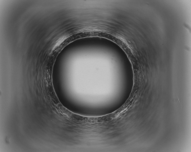 X0000097640871200802291402