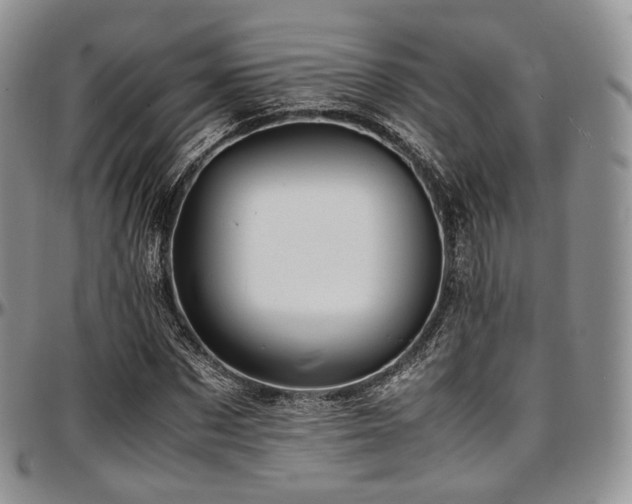 X0000097640873200802291402