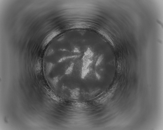 X0000097640874200802291402