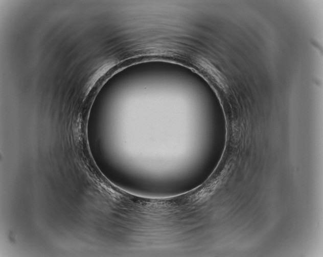 X0000097640875200802291402
