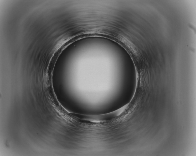 X0000097640876200802291402